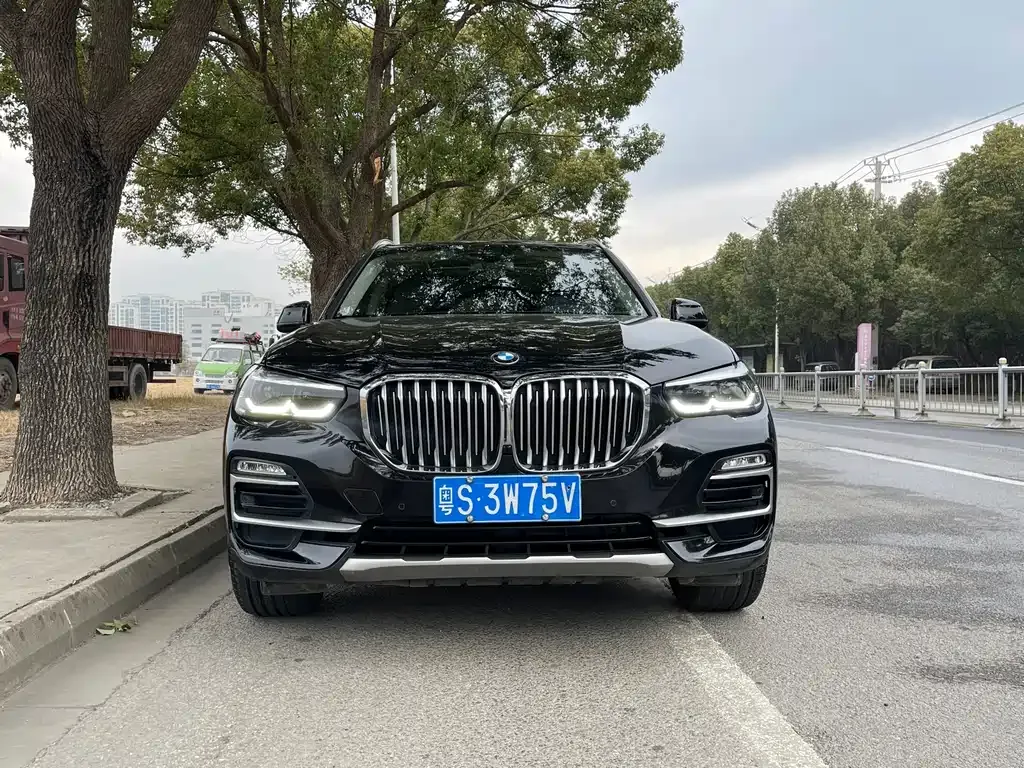 BMW X5 (Import) 2021 из CN, фото 10