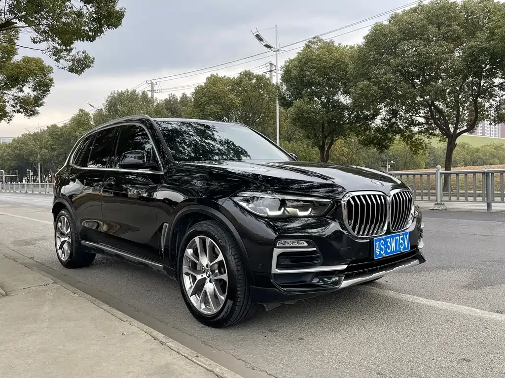 BMW X5 (Import) 2021 из CN, фото 7