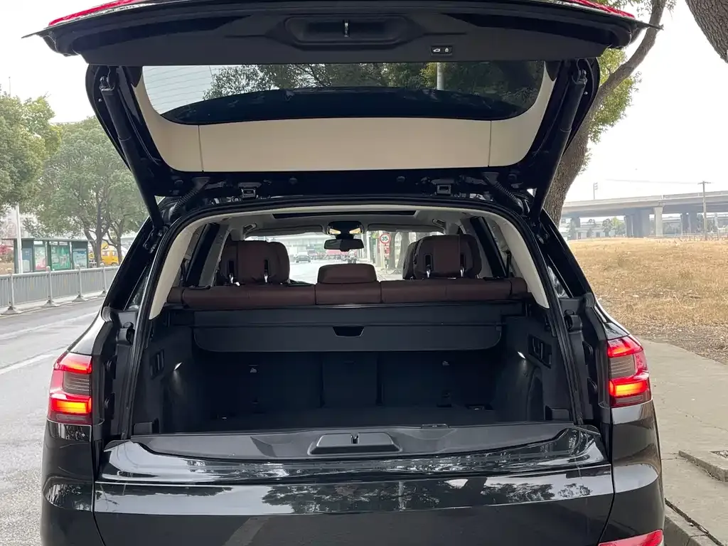 BMW X5 (Import) 2021 из CN, фото 3