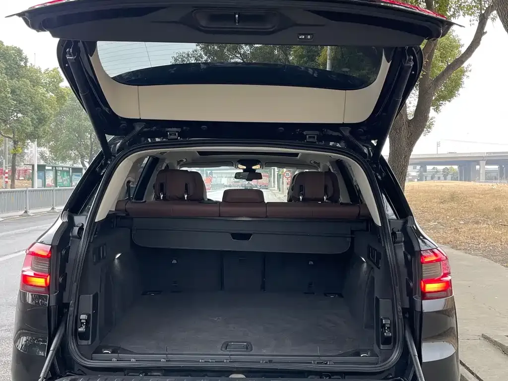 BMW X5 (Import) 2021 из CN, фото 5