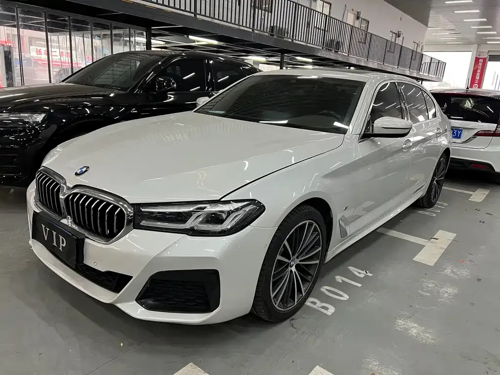 BMW 5 Series 2021 из CN, фото 1