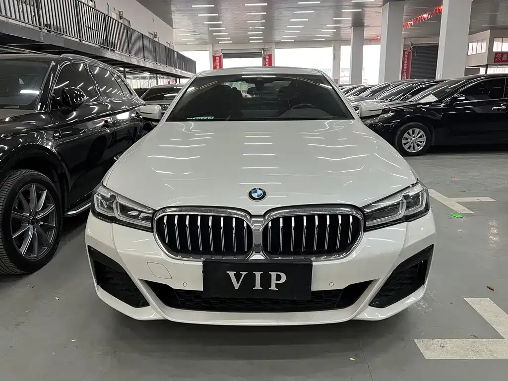 BMW 5 Series 2021 из CN, фото 2
