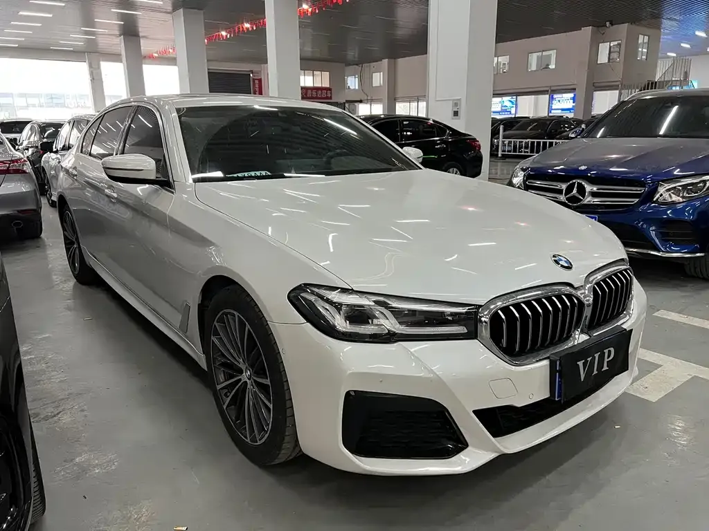 BMW 5 Series 2021 из CN, фото 9