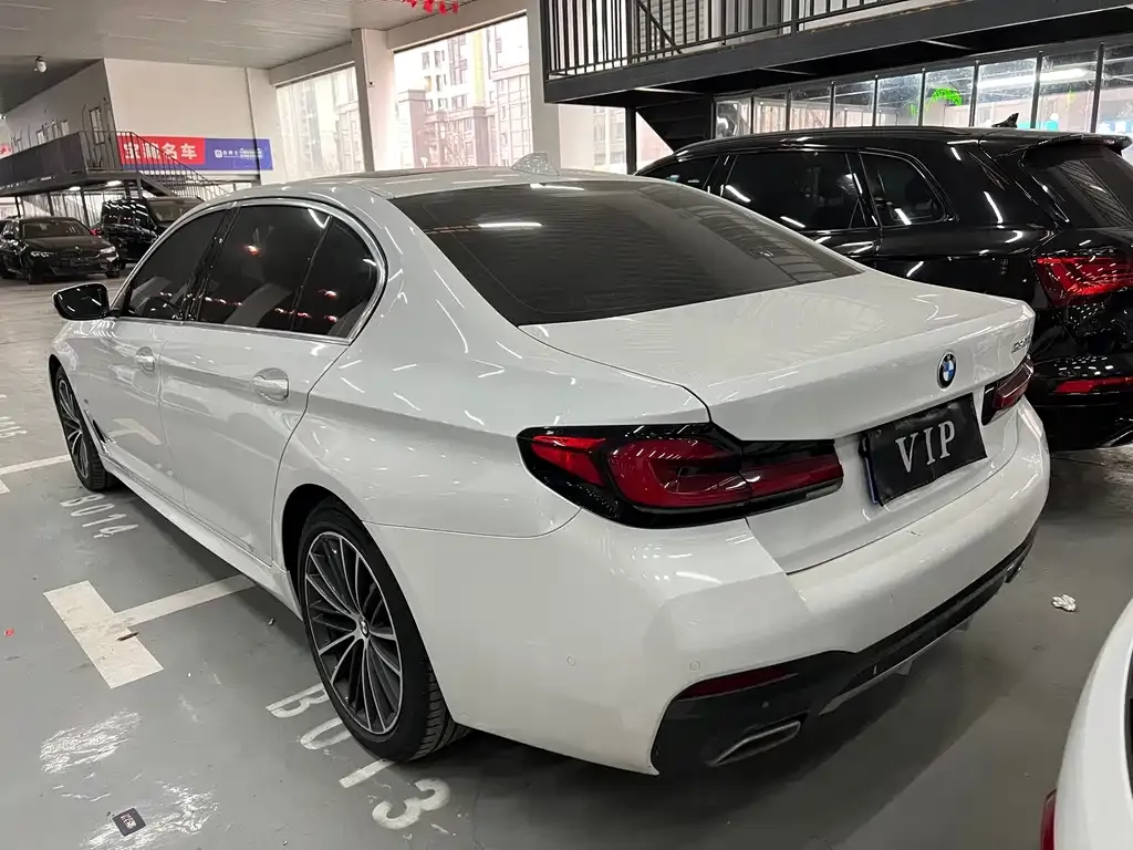 BMW 5 Series 2021 из CN, фото 8