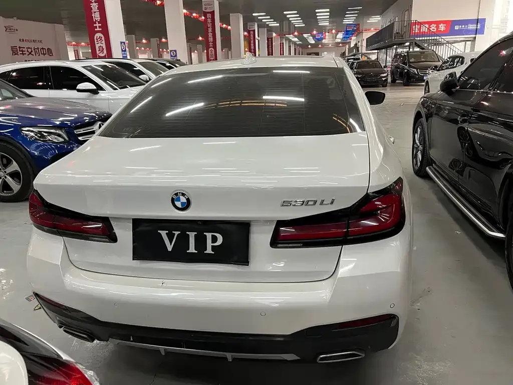 BMW 5 Series 2021 из CN, фото 5