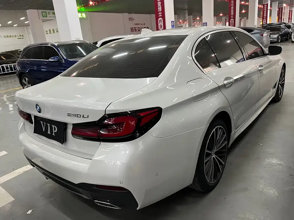 BMW 5 Series 2021 из CN, фото 3