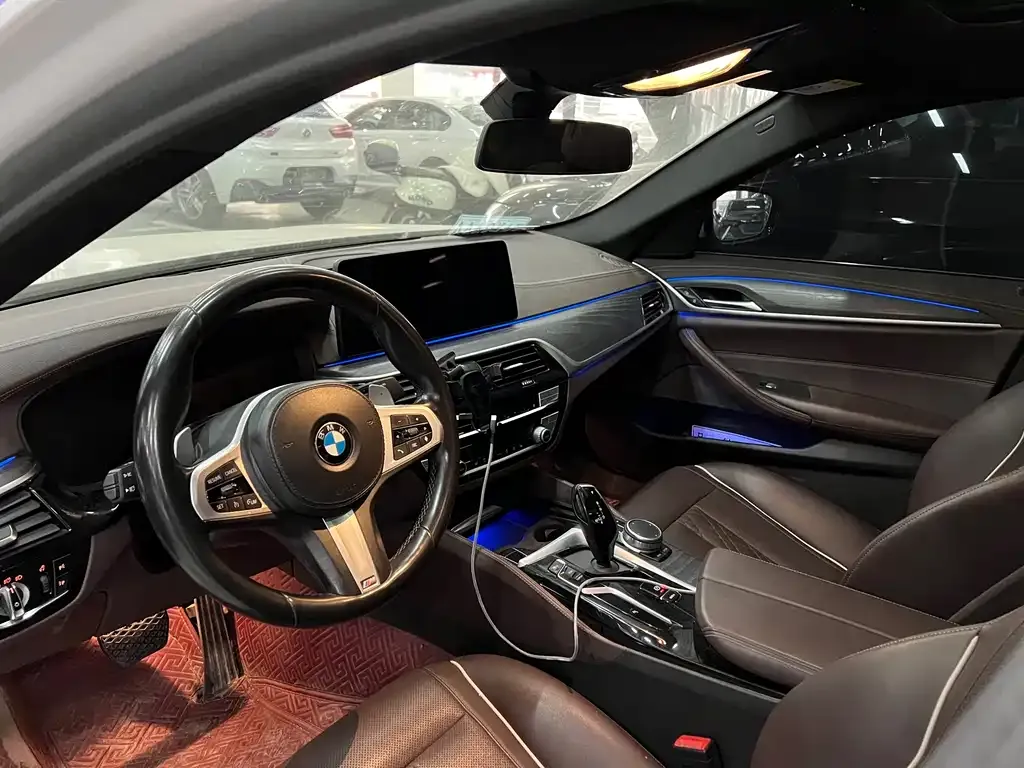 BMW 5 Series 2021 из CN, фото 7