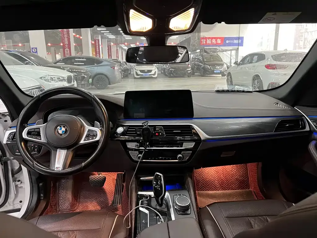 BMW 5 Series 2021 из CN, фото 4