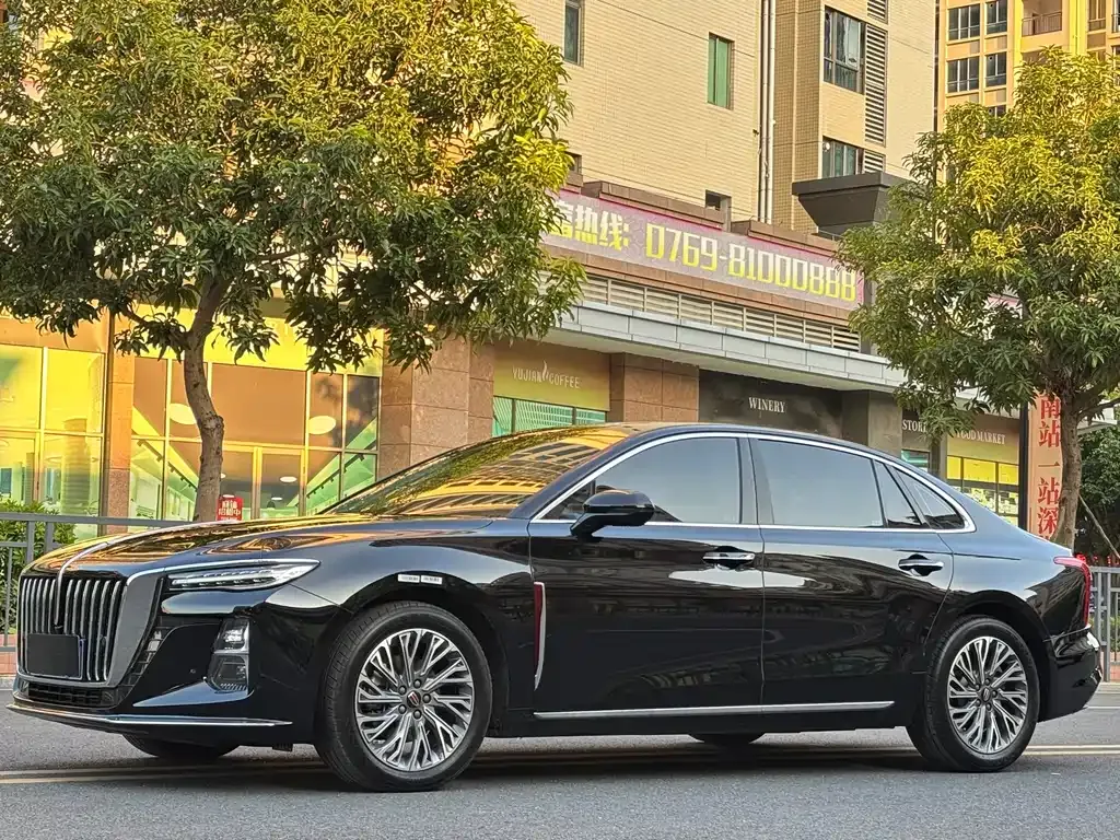 Hongqi H5 2022 из CN, фото 1