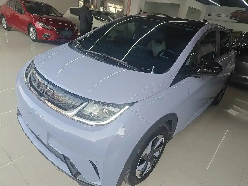 BYD Dolphin 2024 из CN, фото 1