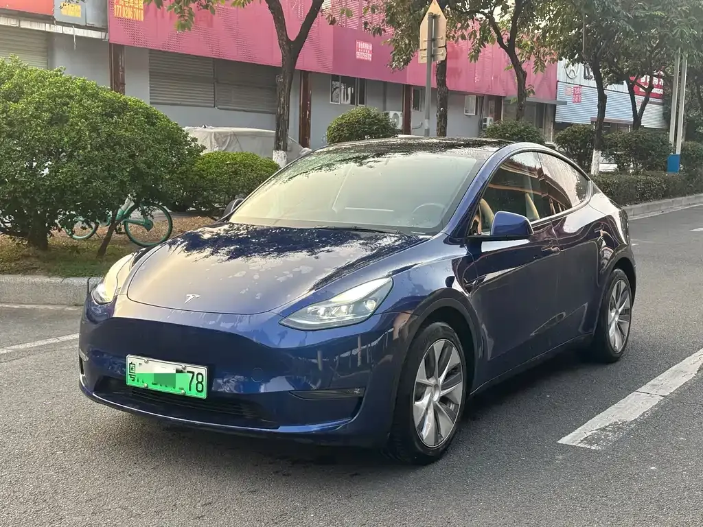 Tesla Model Y 2021 из CN, фото 1