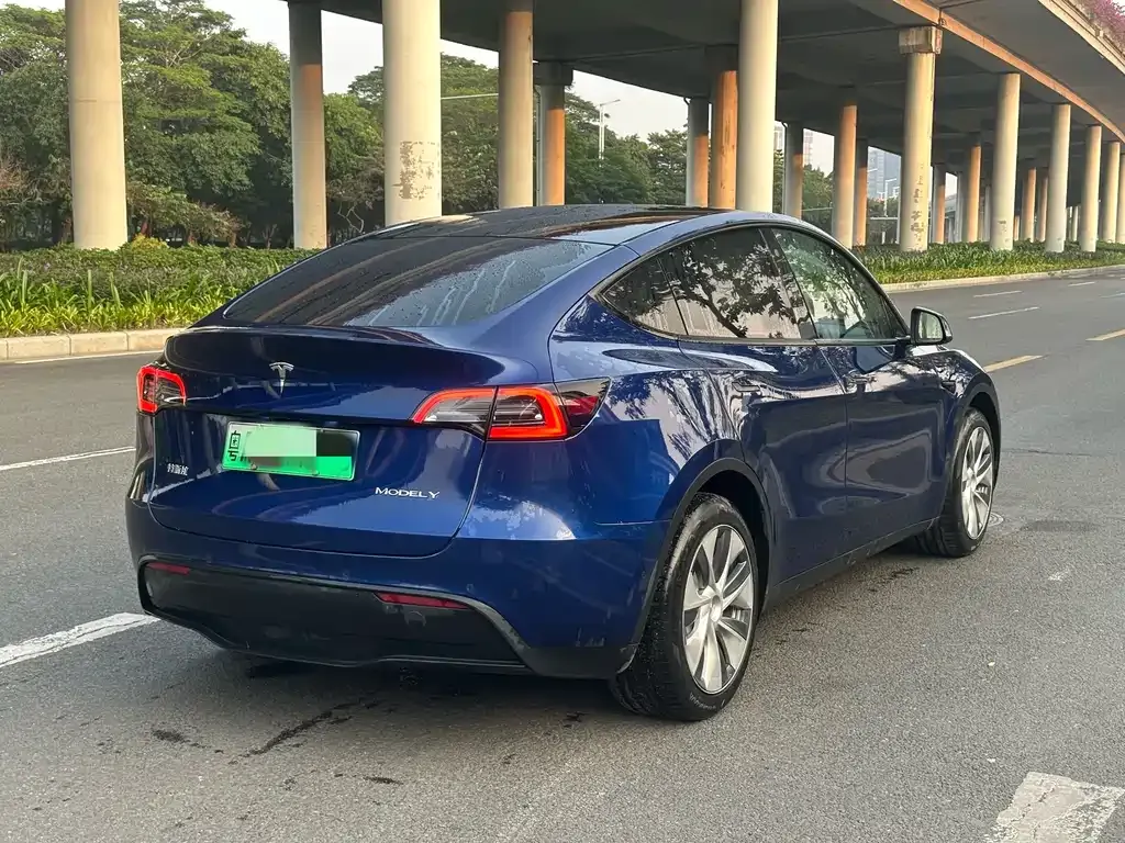 Tesla Model Y 2021 из CN, фото 10