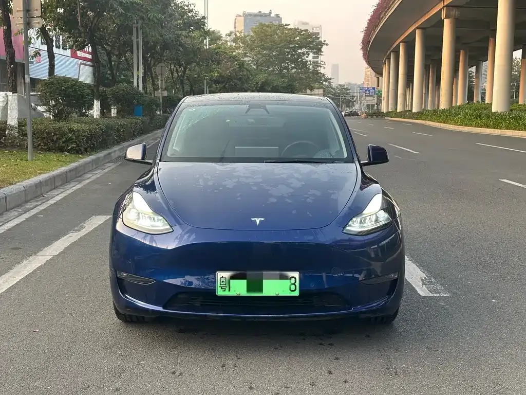 Tesla Model Y 2021 из CN, фото 2