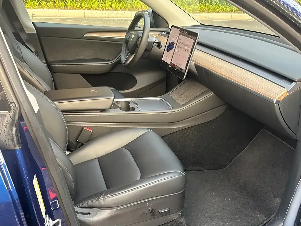 Tesla Model Y 2021 из CN, фото 4
