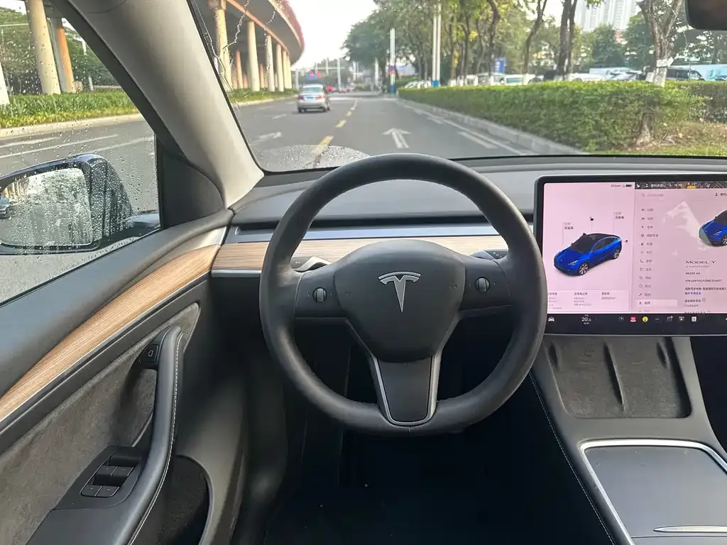 Tesla Model Y 2021 из CN, фото 5