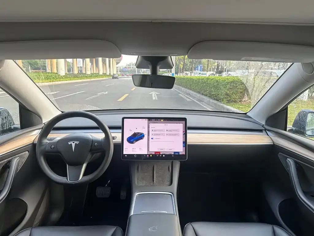 Tesla Model Y 2021 из CN, фото 7