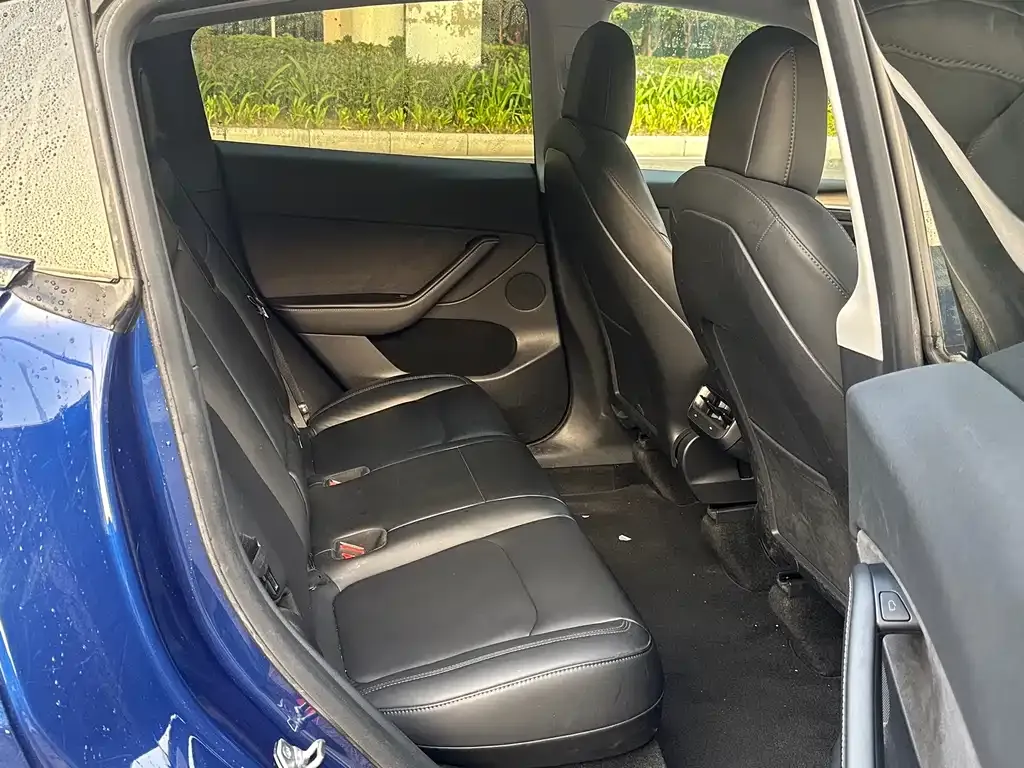 Tesla Model Y 2021 из CN, фото 8