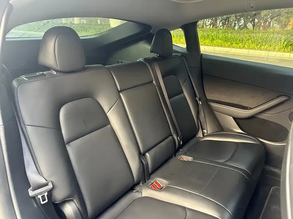 Tesla Model Y 2021 из CN, фото 9