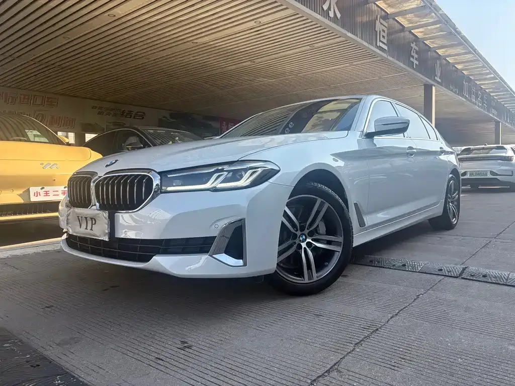 BMW 5 Series 2021 из CN, фото 1