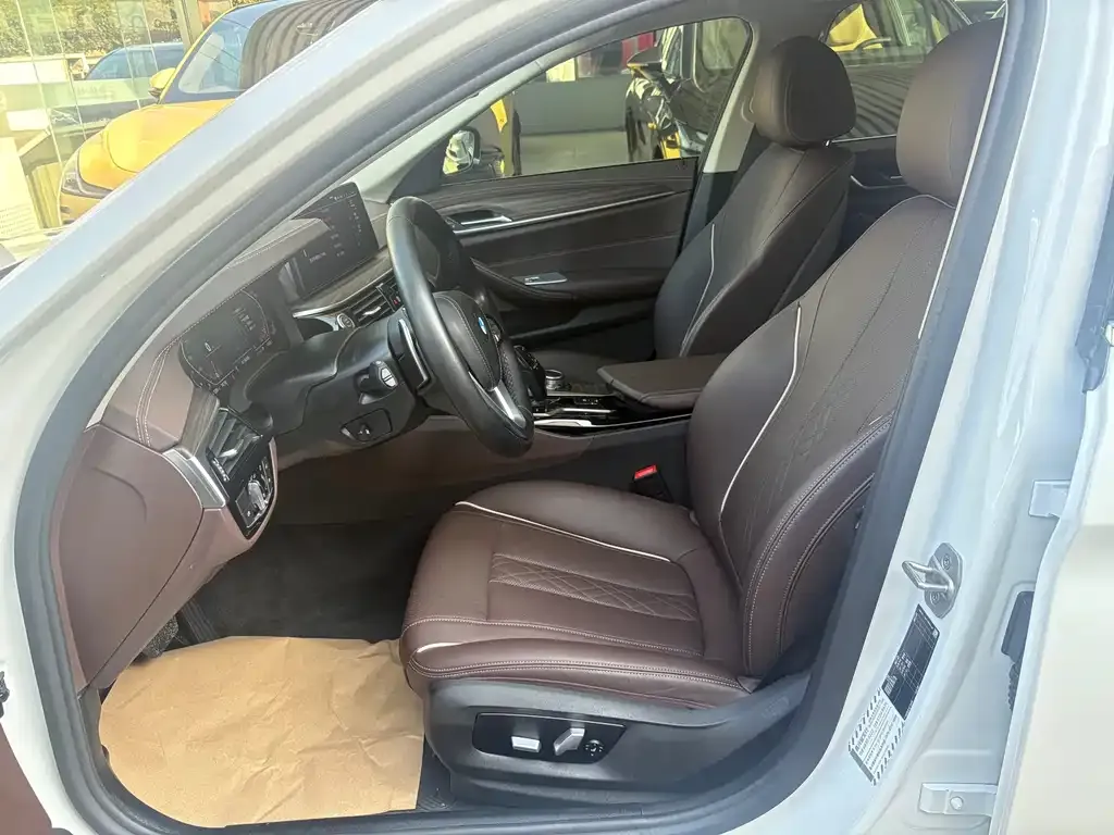 BMW 5 Series 2021 из CN, фото 4