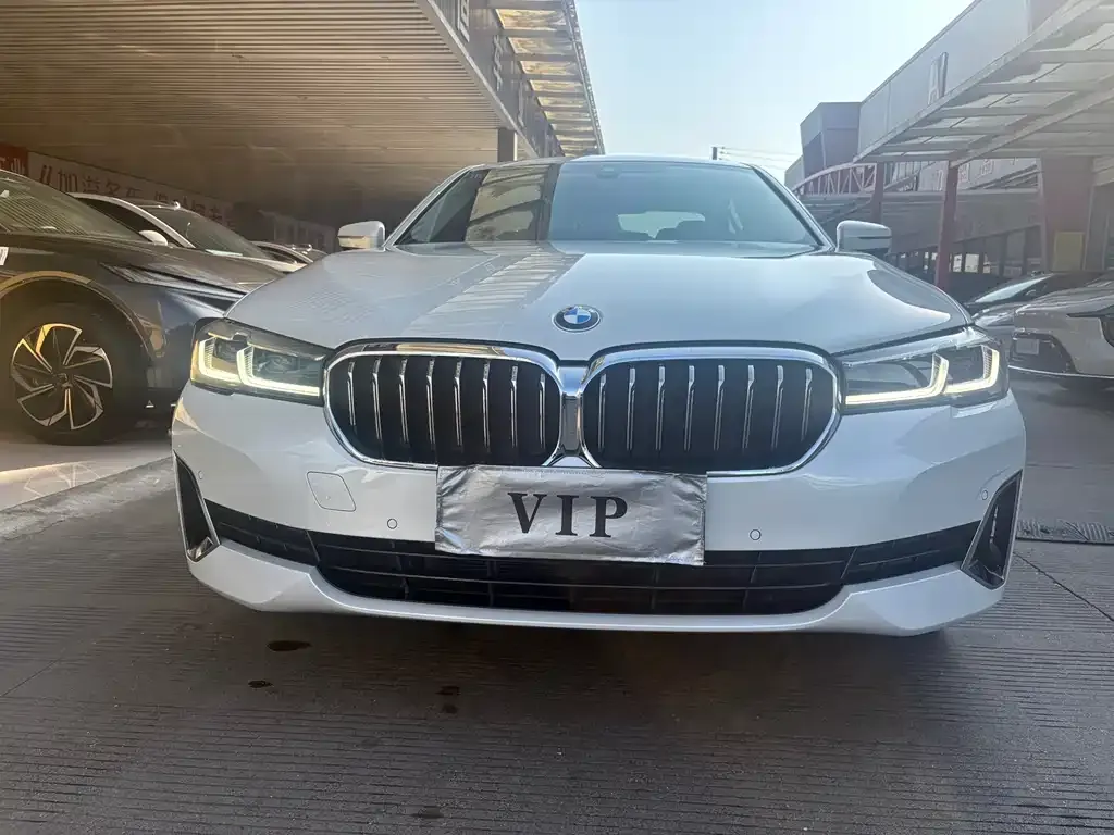 BMW 5 Series 2021 из CN, фото 5