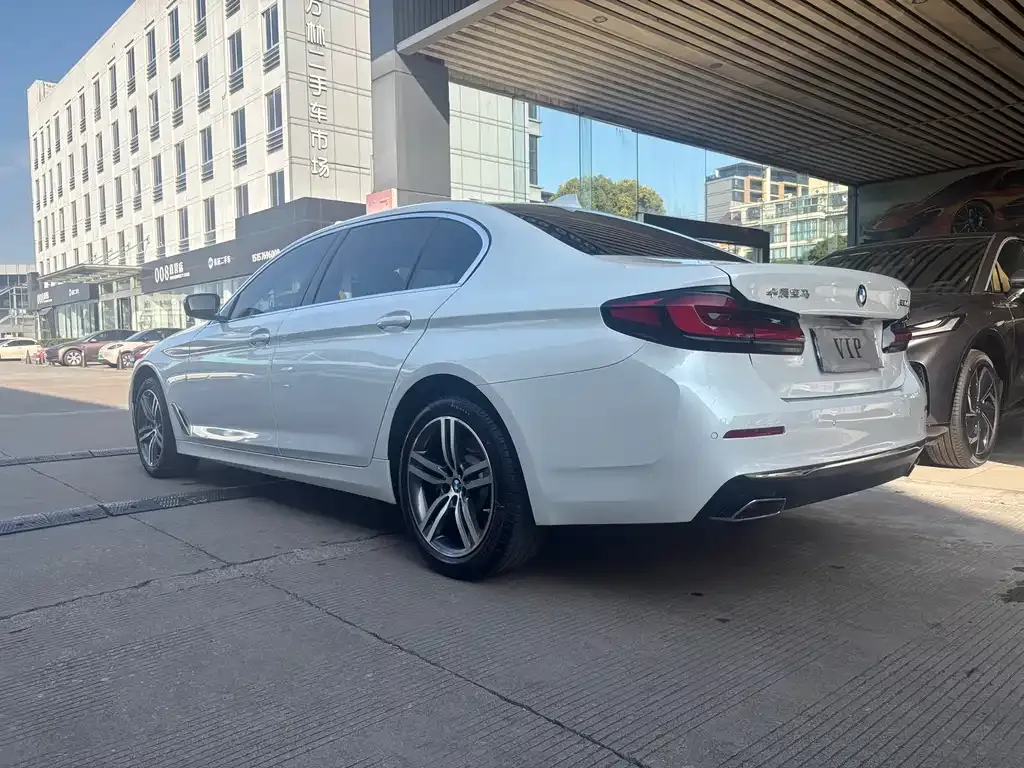 BMW 5 Series 2021 из CN, фото 6