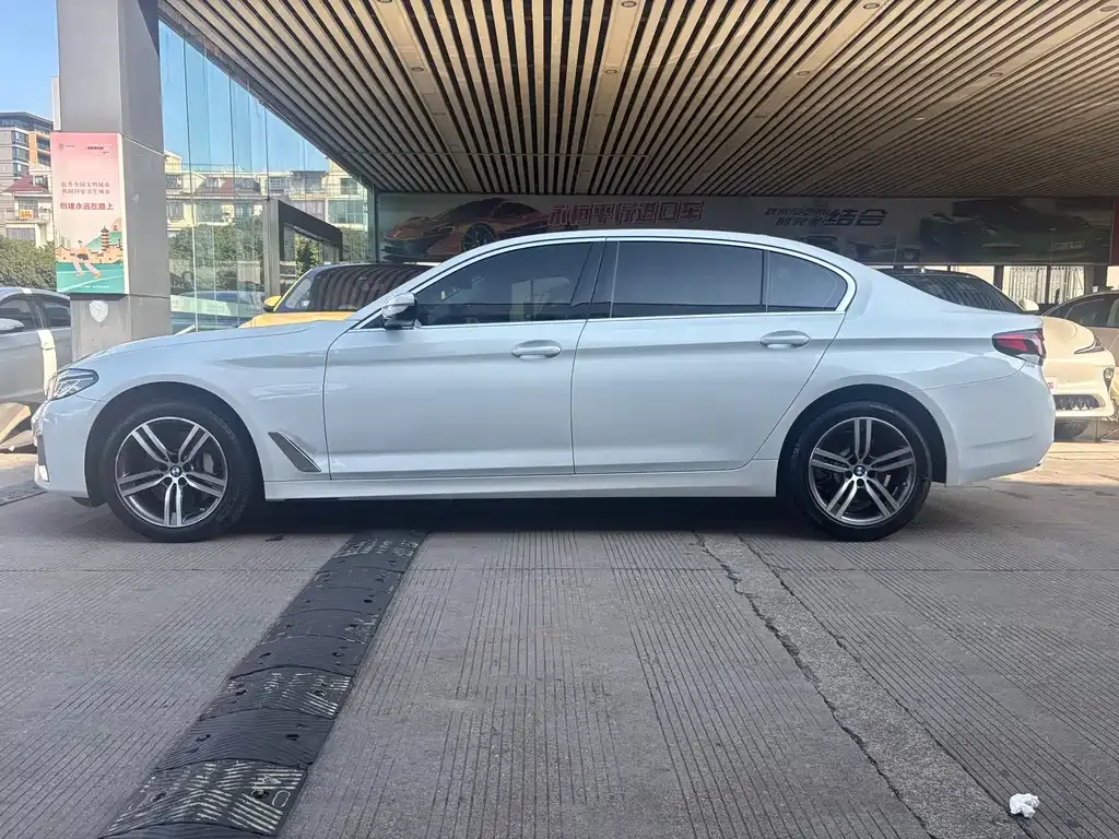 BMW 5 Series 2021 из CN, фото 10