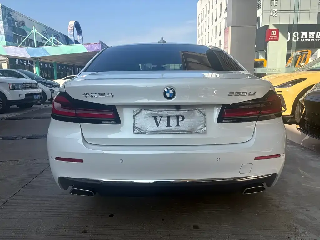BMW 5 Series 2021 из CN, фото 9