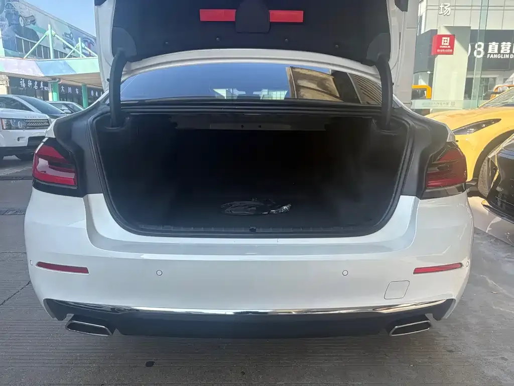 BMW 5 Series 2021 из CN, фото 7