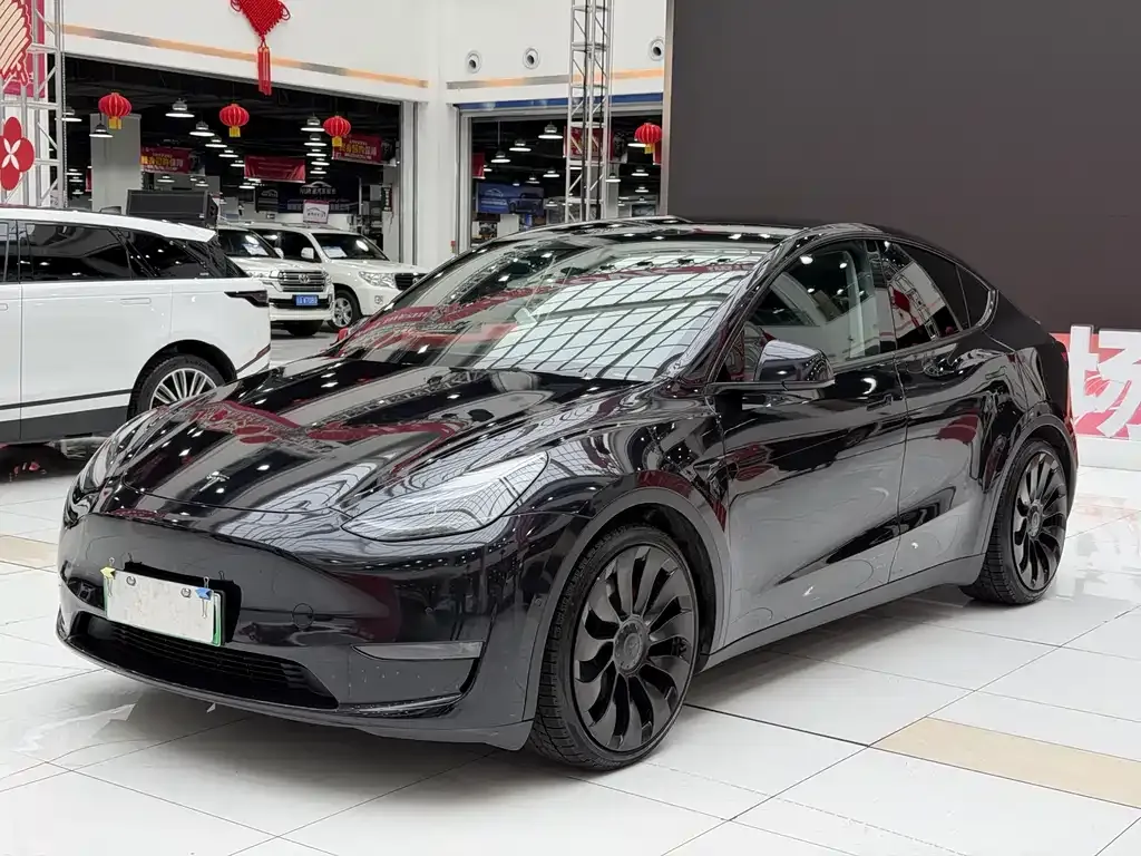 Tesla Model Y — фото 1