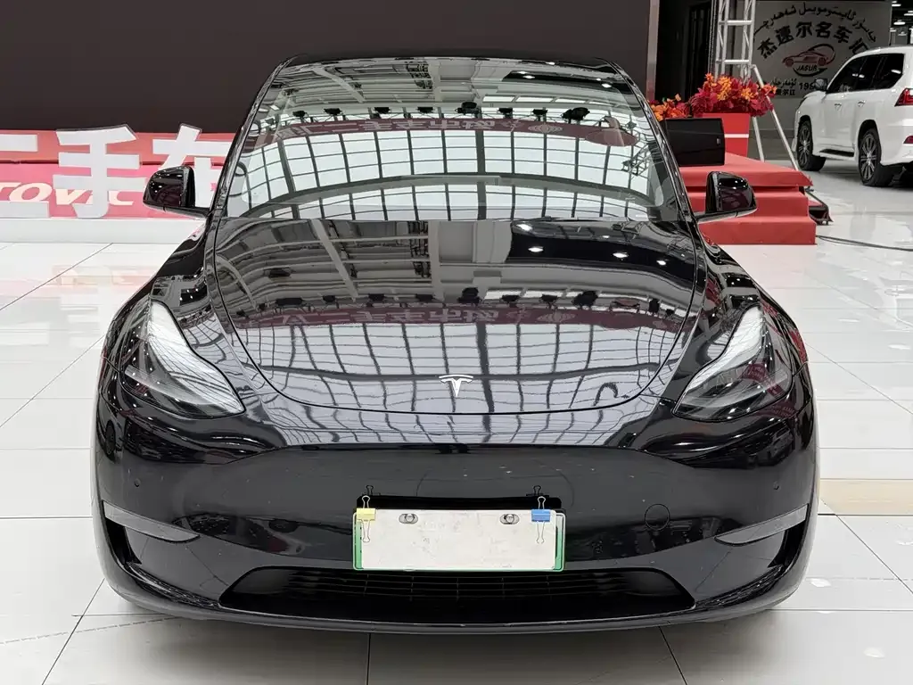 Tesla Model Y — фото 5