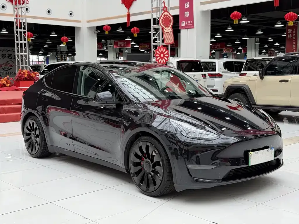 Tesla Model Y — фото 3