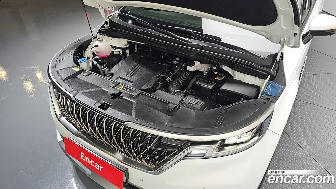 Kia Carnival — фото 10