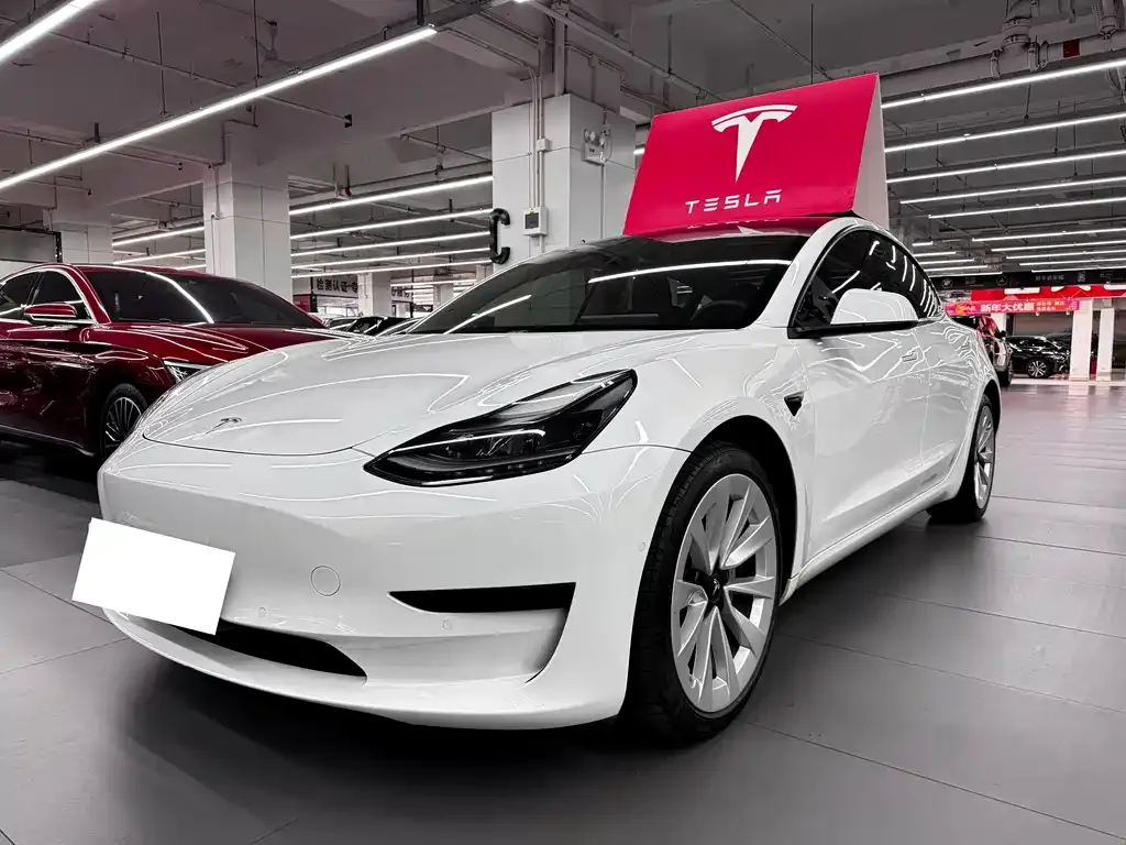 Tesla Model 3 2021 из CN, фото 1