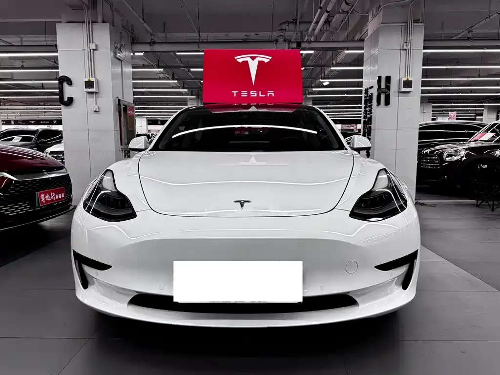 Tesla Model 3 2021 из CN, фото 4