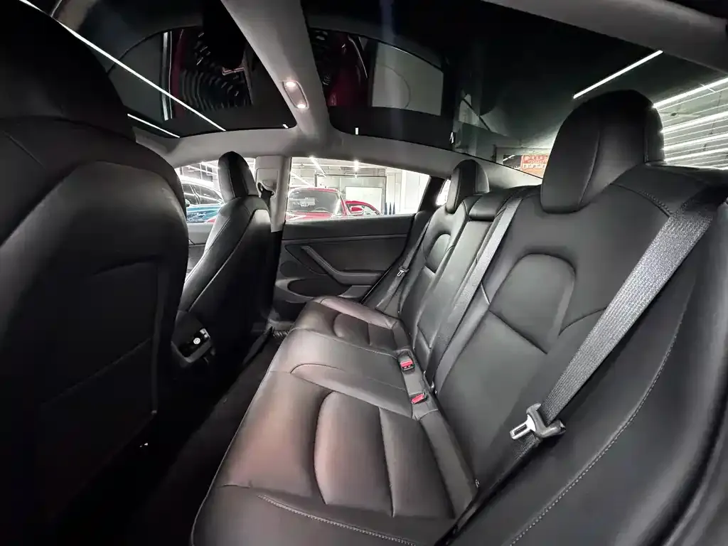 Tesla Model 3 2021 из CN, фото 8