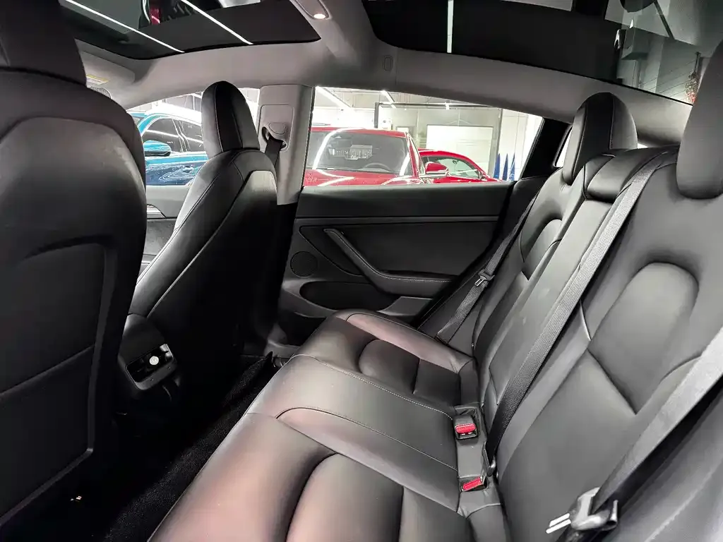 Tesla Model 3 2021 из CN, фото 6