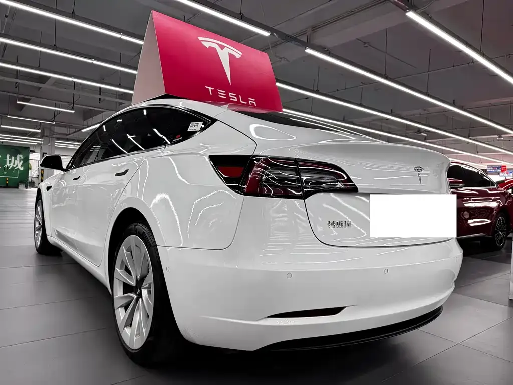 Tesla Model 3 2021 из CN, фото 3