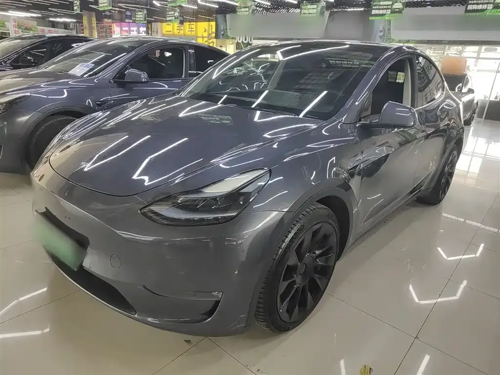 Tesla Model Y 2021 из CN, фото 1