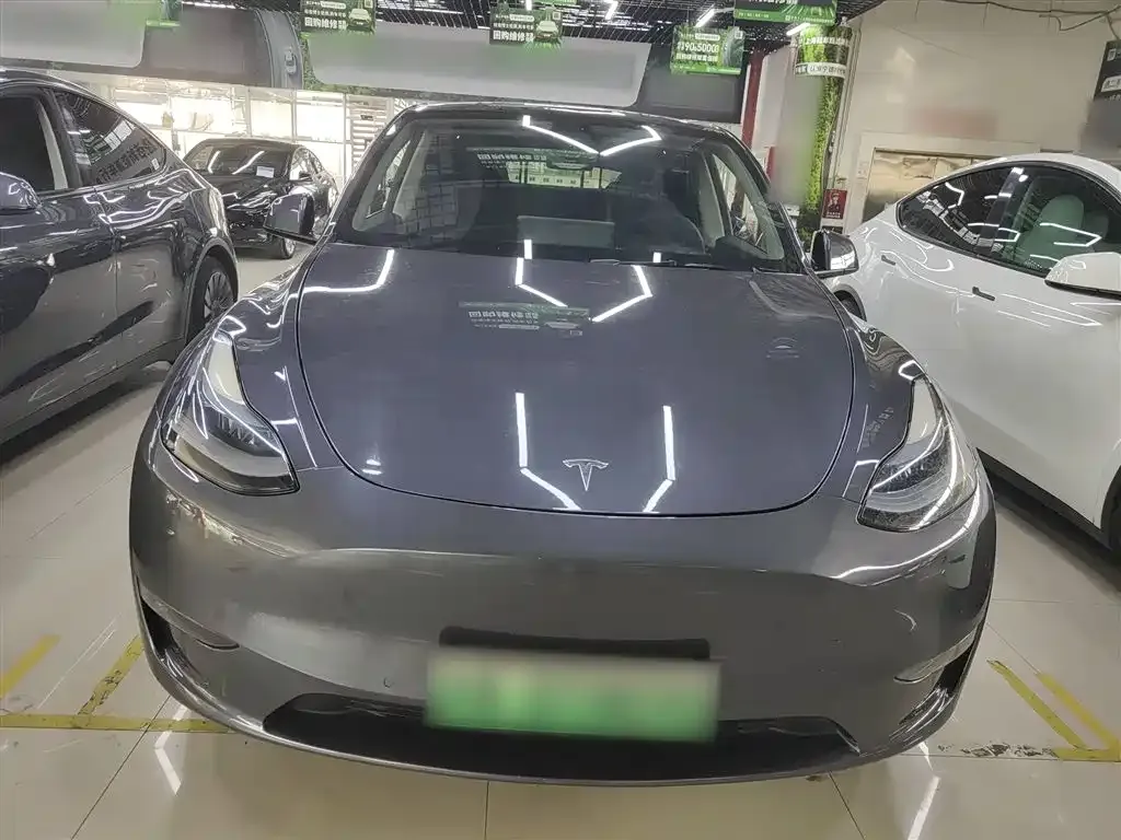 Tesla Model Y 2021 из CN, фото 6