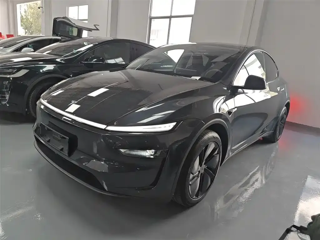 Tesla Model Y 2025 из CN, фото 6