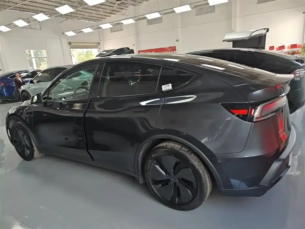 Tesla Model Y 2025 из CN, фото 8