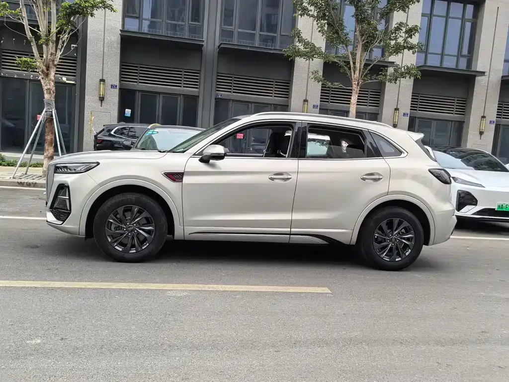 Hongqi HS5 2023 из CN, фото 9
