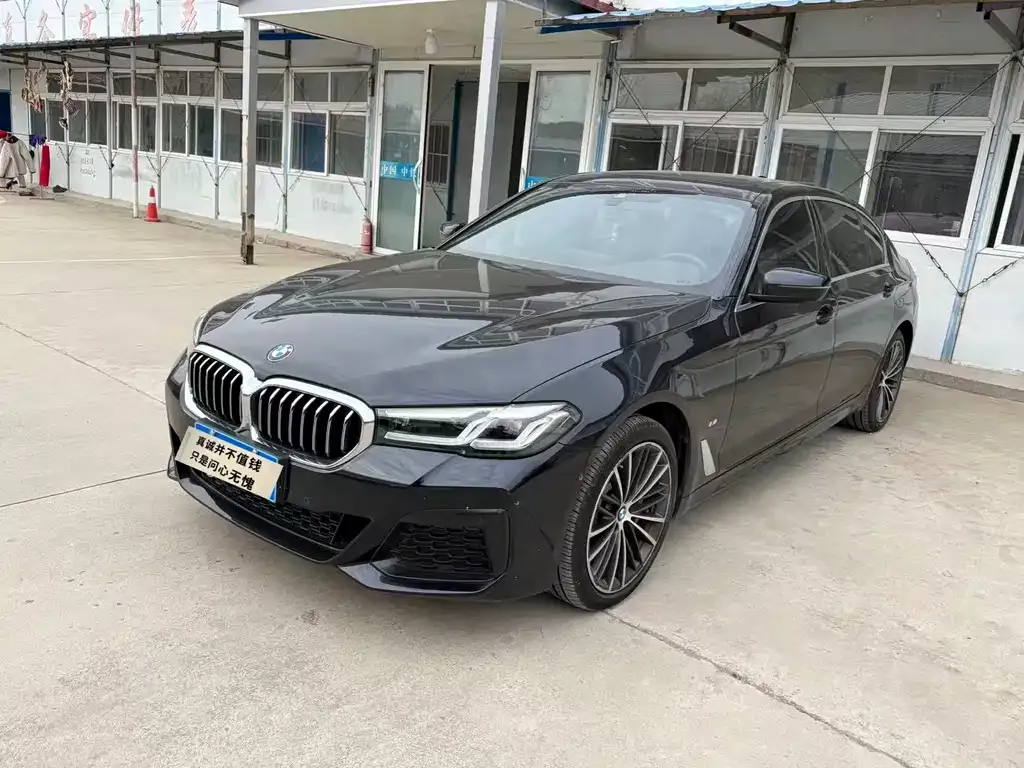 BMW 5 Series 2022 из CN, фото 1
