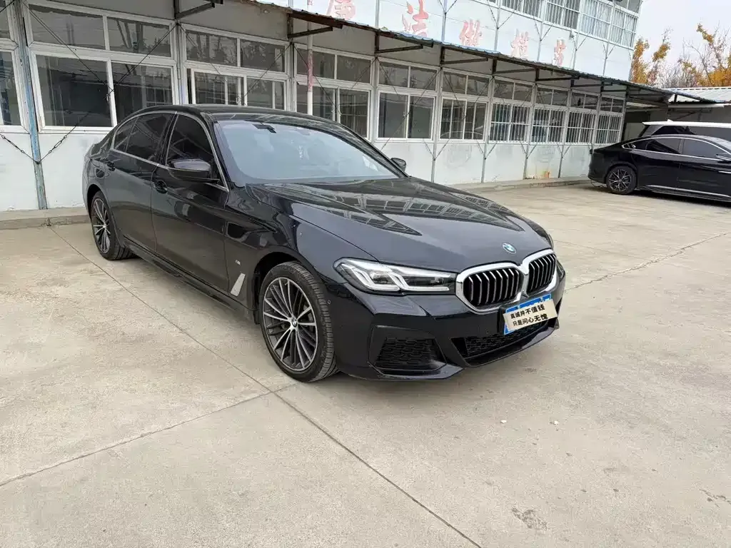 BMW 5 Series 2022 из CN, фото 5