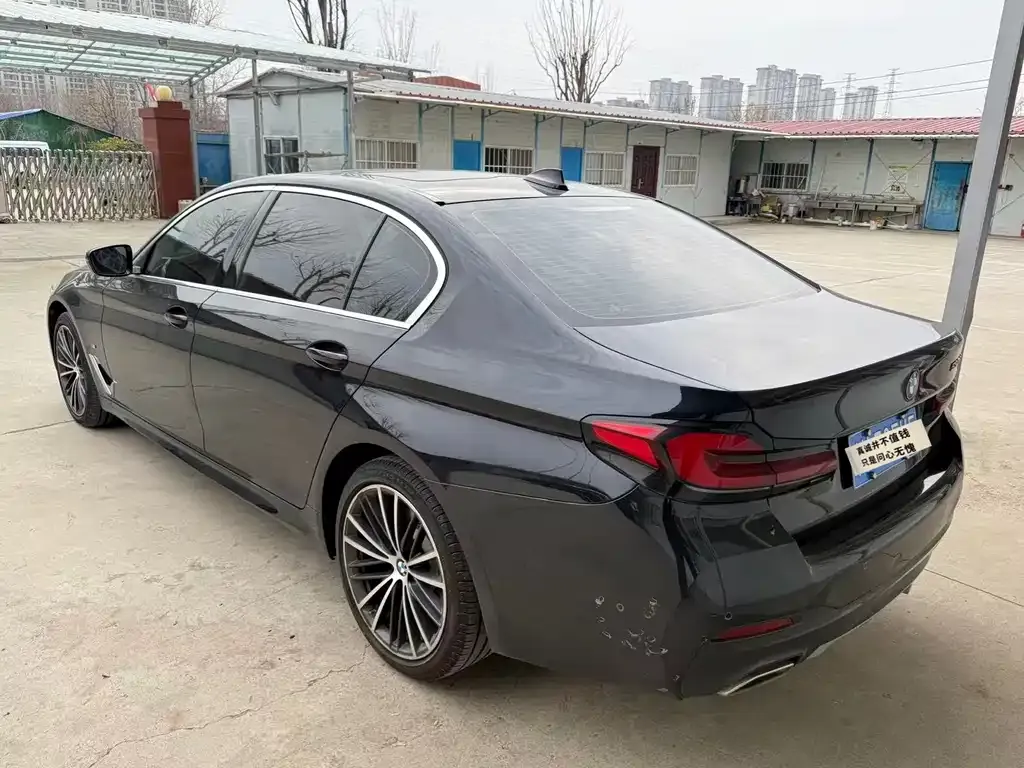 BMW 5 Series 2022 из CN, фото 4