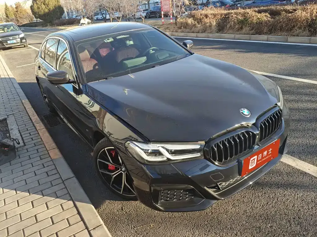 BMW 5 Series 2022 из CN, фото 8