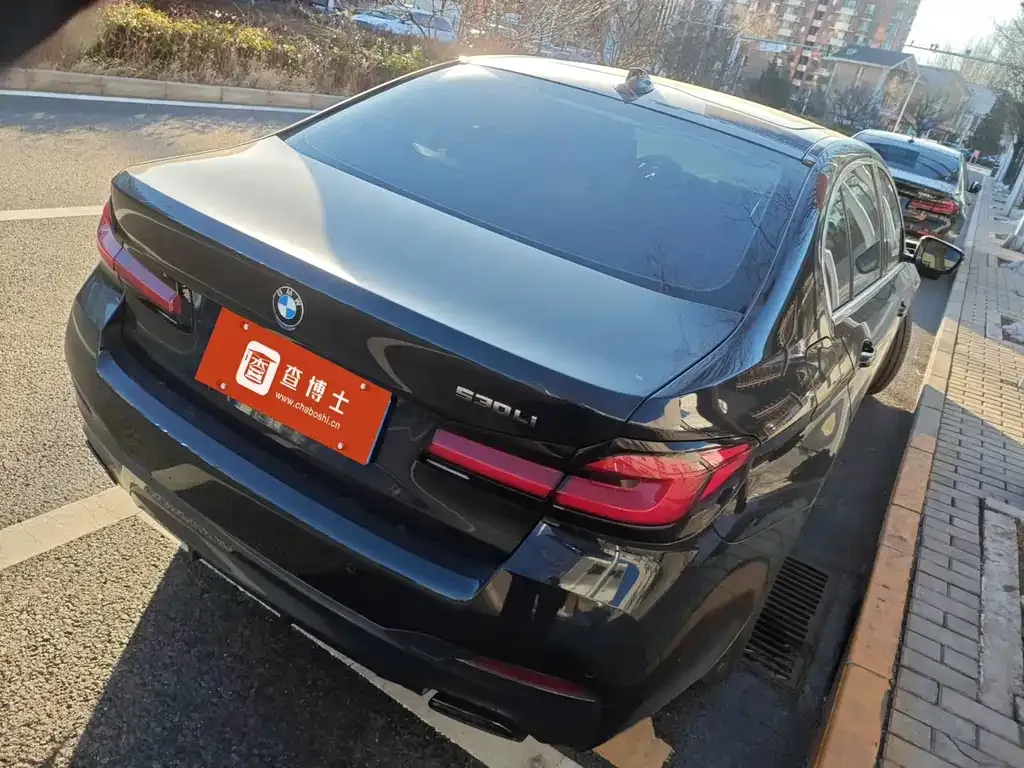 BMW 5 Series 2022 из CN, фото 6