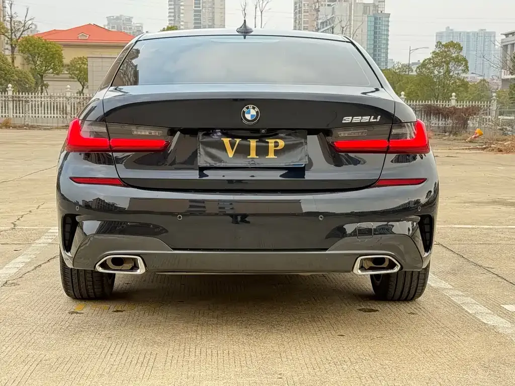 BMW 3 Series 2021 из CN, фото 7