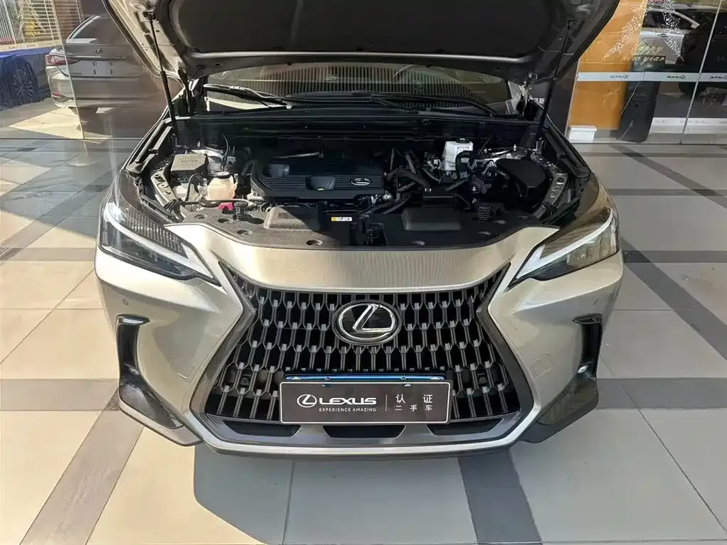 Lexus NX 2023 из CN, фото 8